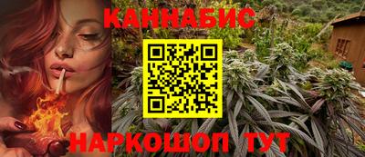 молекула духа Новозыбков