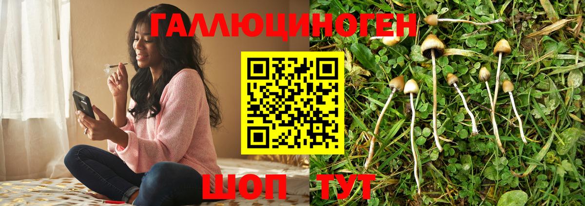 Галлюциногенные грибы MAGIC MUSHROOMS  Вход с VPN  Анжеро-Судженск 