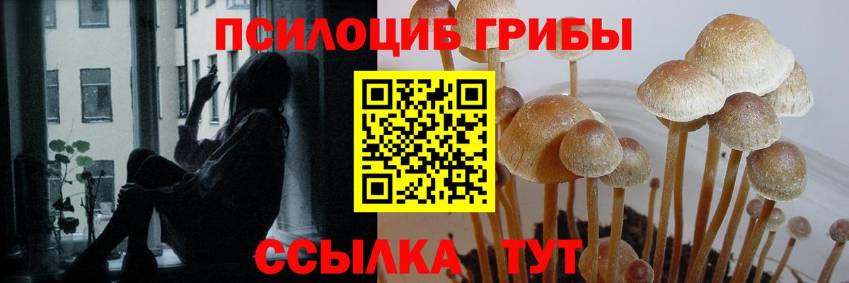 Галлюциногенные грибы прущие грибы Анжеро-Судженск
